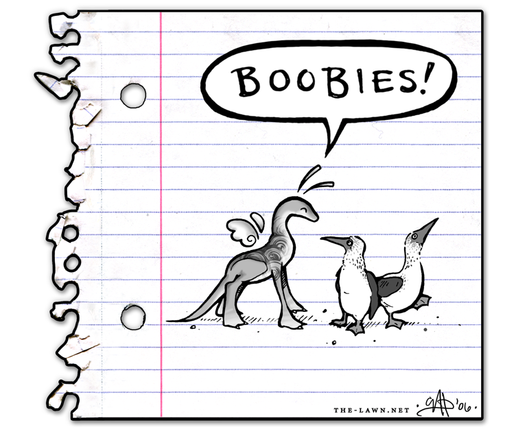 Boobies